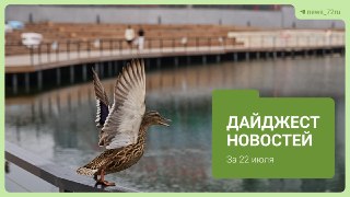 Запахи и проблемы: Тюмень в центре обсуждений и новостей